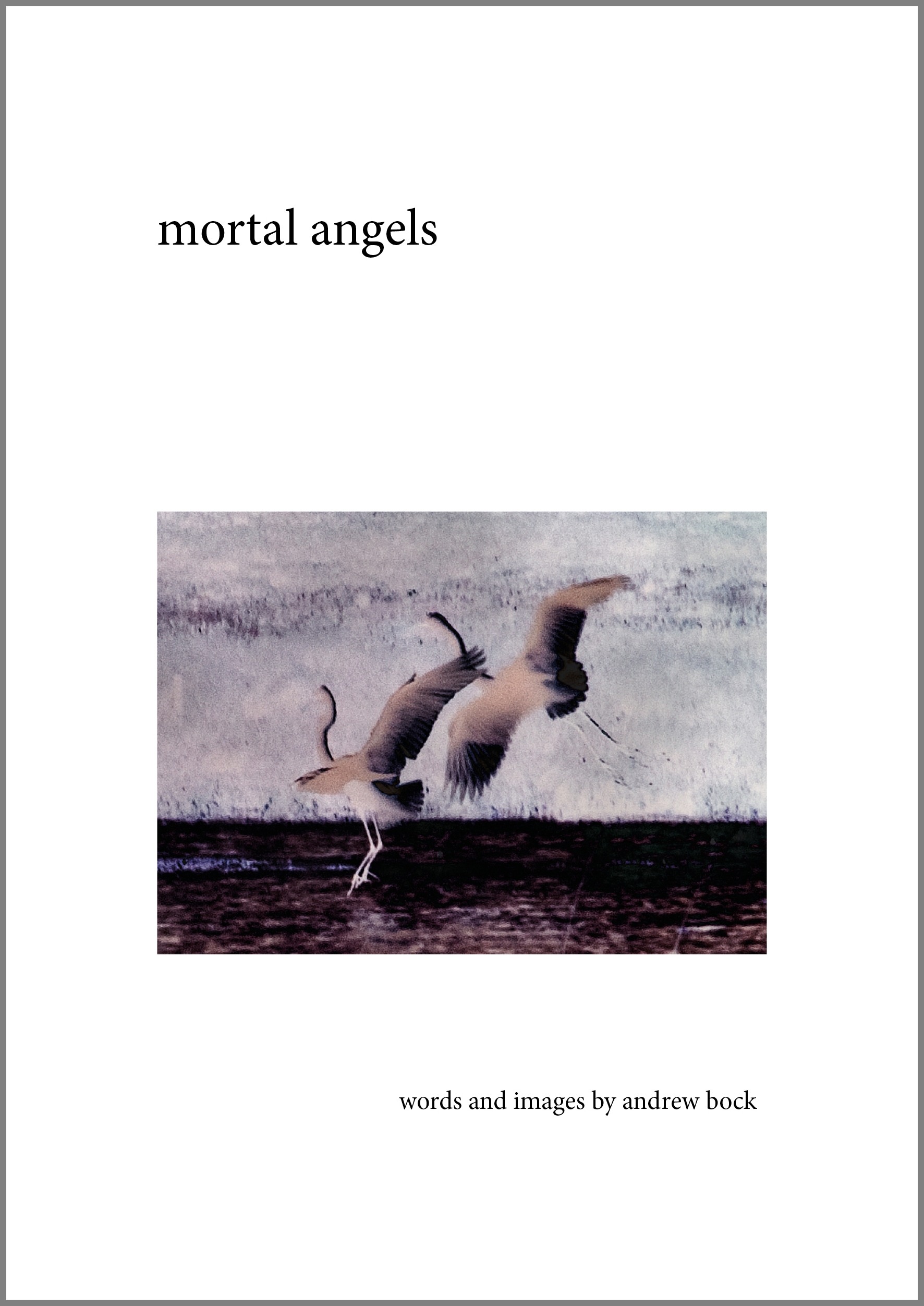 Copyright Andrew Bock. All rights protected.